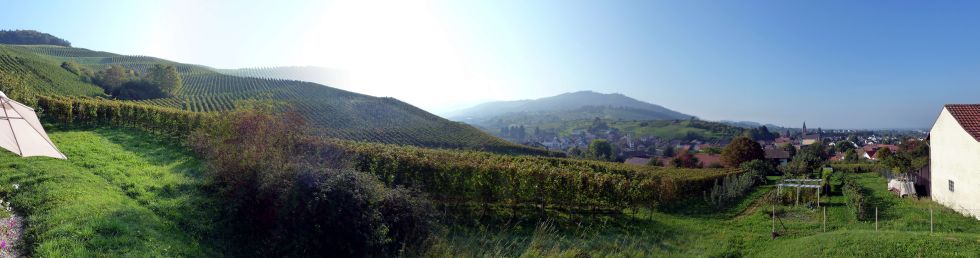 Panorama